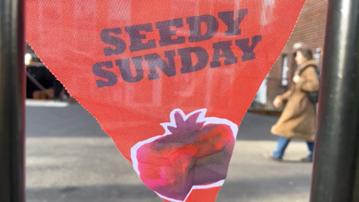 Looking back at Seedy Sunday ’23
